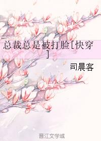 总裁总是被打脸[快穿]