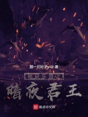 轮回乐园：暗夜君王